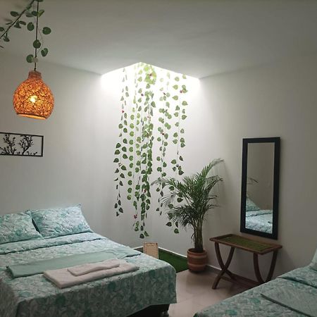 Cafe Hotel Boutique Kjtagua Сан-Хиль Экстерьер фото