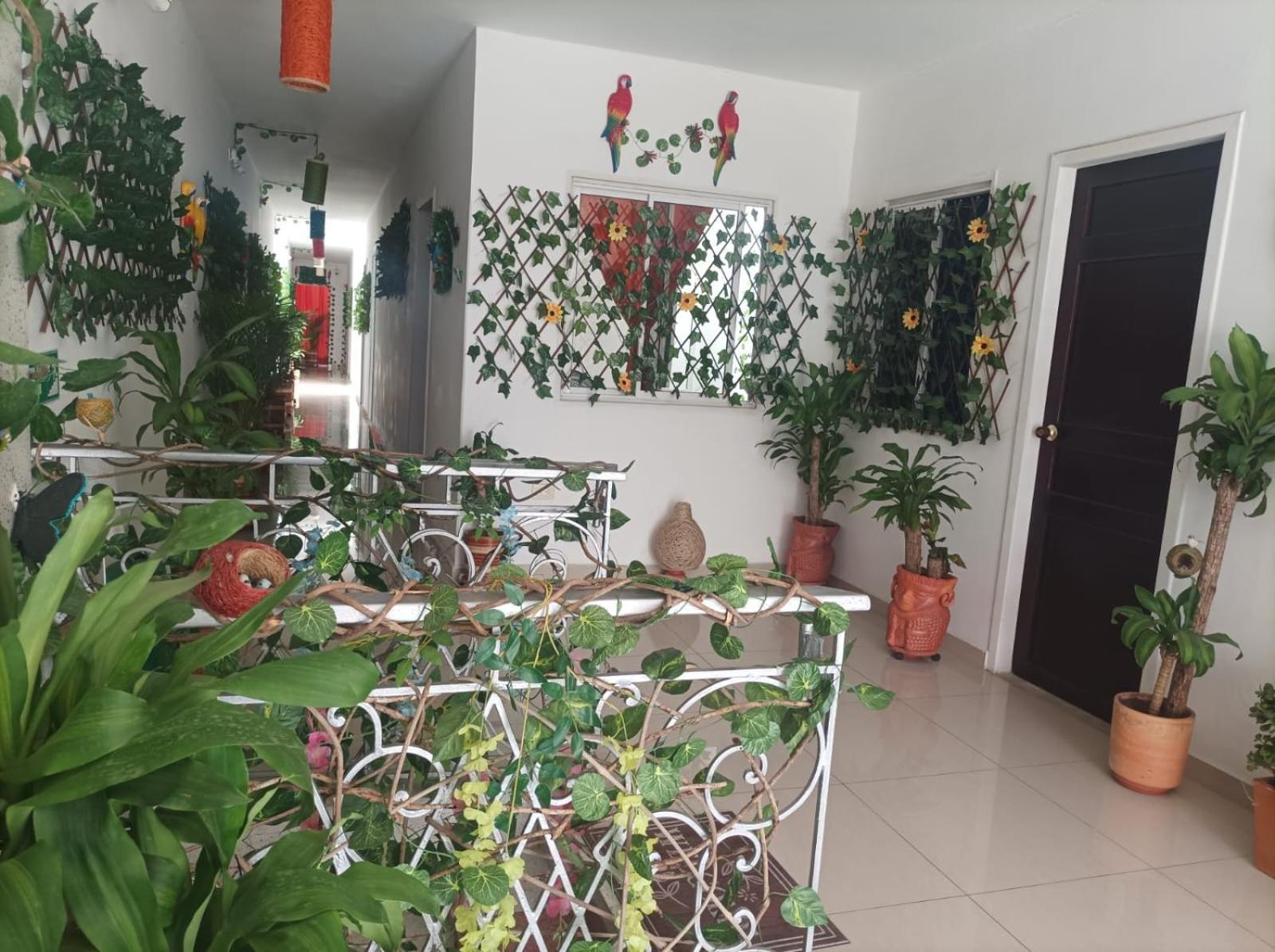 Cafe Hotel Boutique Kjtagua Сан-Хиль Экстерьер фото